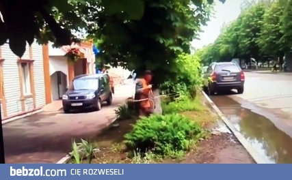 Gdy dasz za dużo gazu... - Sezon koszenia uważam za otwarty