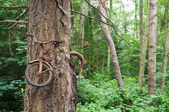 Natura, która wygrała z cywilizacją