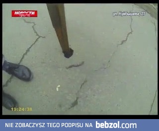 Dziennikarz mierzy głębokość niepozornego uszkodzenia asfaltu