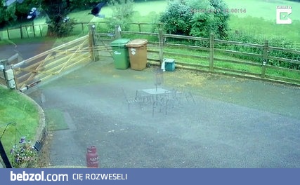 śmiertelny pościg i niespodziewana odsiecz