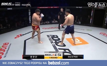 Potworny nokaut na gali MMA w Korei 