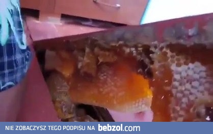 Miód na balkonie pod podłogą