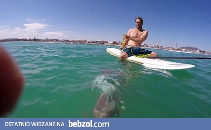 Potężna ośmiornica atakuje deskę surfingową