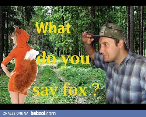 Poszukiwania lisa i wywiad z nim :)