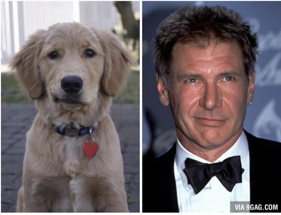 Zwierzaki przypominające znanych ludzi