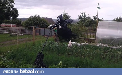 Strach na wróble z piekła rodem 