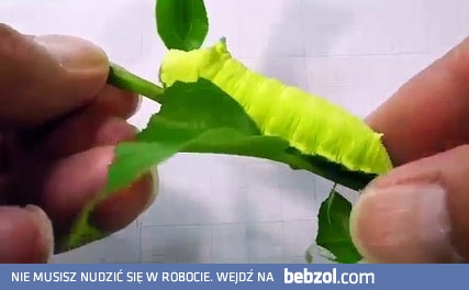 Caterpillar Scream-jak 