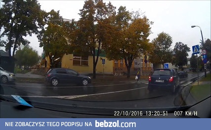 Omijanie na przejściu dla pieszych