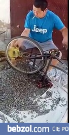 Chińska metoda czyszczenia słonecznika