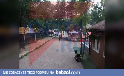 Babcia z wnuczką poszły do zoo