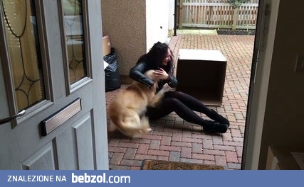 Pies dostaje najwspanialszy prezent