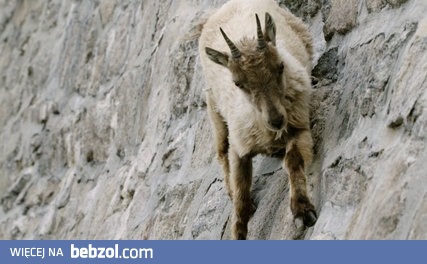 Spragniony nie jesteś sobą i masz gdzieś grawitację