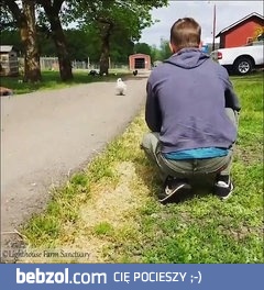 Zwierzęta też lubią się przytulać