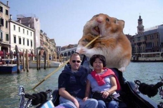 Mistrzowie Photoshopa