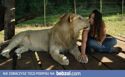 Kobieta i jej lwy