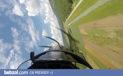 Jaja wielkości piłek tenisowych. Mózg też.