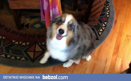 Kto zjadł łóżko?!