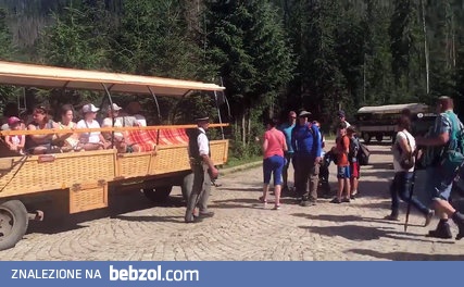 Nieludzki wyzysk koni pod Morskim Okiem