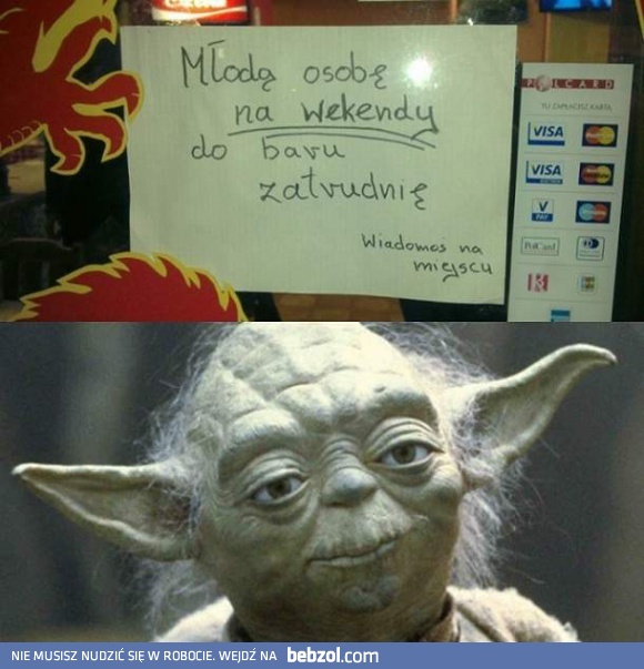 Mistrz Yoda poleca