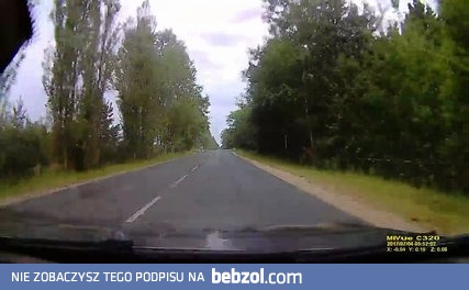 Czołem! Panie kierowca...