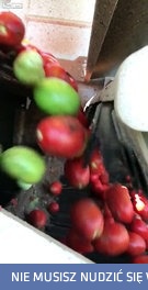 Niedojrzałym wstęp wzbroniony