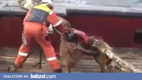 Wypadek na statku przy przecinaniu naprężonej liny