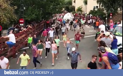 Poważny uraz przez byk-kulę