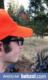 Koliber myli czapkę myśliwego z kwiatem