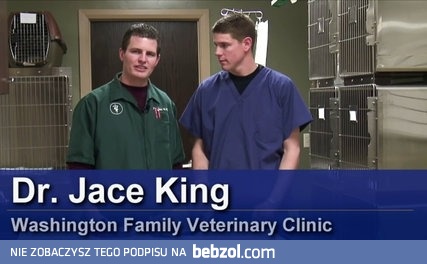 Czy twój kot ma depresję 