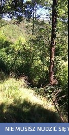 Echo fali dźwiękowej na stalowej linie 