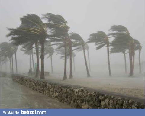 Huragan IRMA na Florydzie, Miami i Kubie