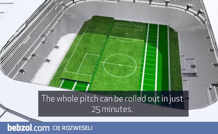 Projekt murawy nowego stadionu Tottenhamu