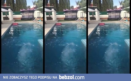 Jak wyjść z wody jak superbohater pokazuje Jack Black 