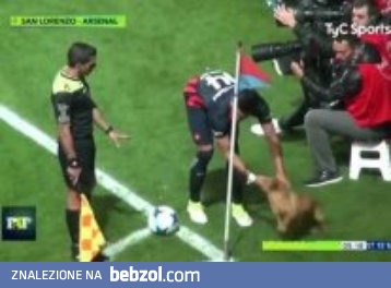 Śmiesznypiesek przerywa mecz żeby pobawić się piłką