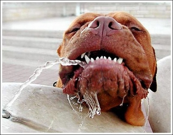 Typowe sytuacje na kacu