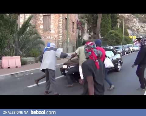 Polka kontra imigranci