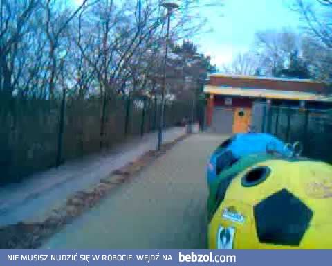 Dzik jest dziki, dzik jest zły...