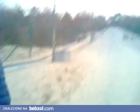 Dzik jest dziki,ludzie uwaga na siebie !!! Jeden spóżnialski