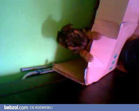 Mały uciekinier , nie Czaruś