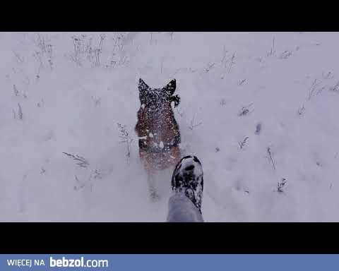 MILOSC W ZAKOPANEM ^ SLAWOMIREK