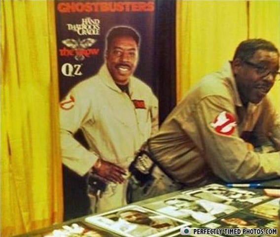 Zdjęcia uchwycone w idealnym momencie