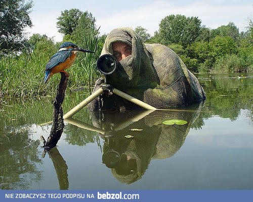 Zachowuj się tak, jakby mnie tu nie było