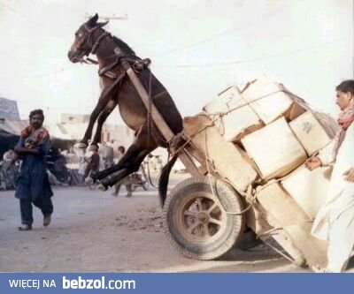 Przeholowali trochę