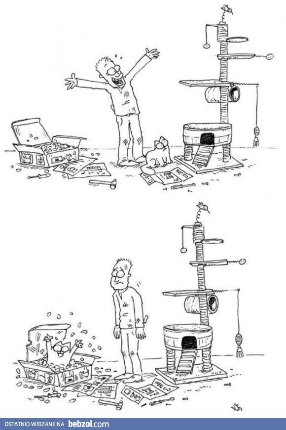 Koty... kto je zrozumie...