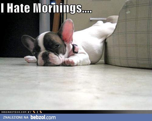 Nie cierpię poranków
