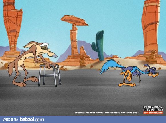 Struś Pędziwiatr 2011