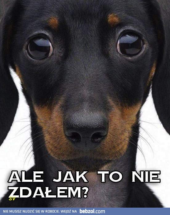 Ale jak to panie profesorze?