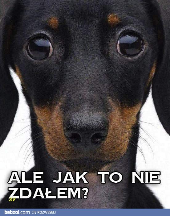 Jak to?!