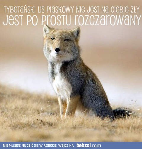 Rozczarowałeś mnie