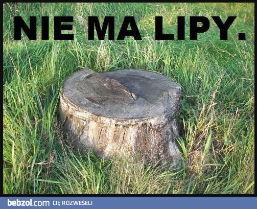 Nie ma lipy, kurde
